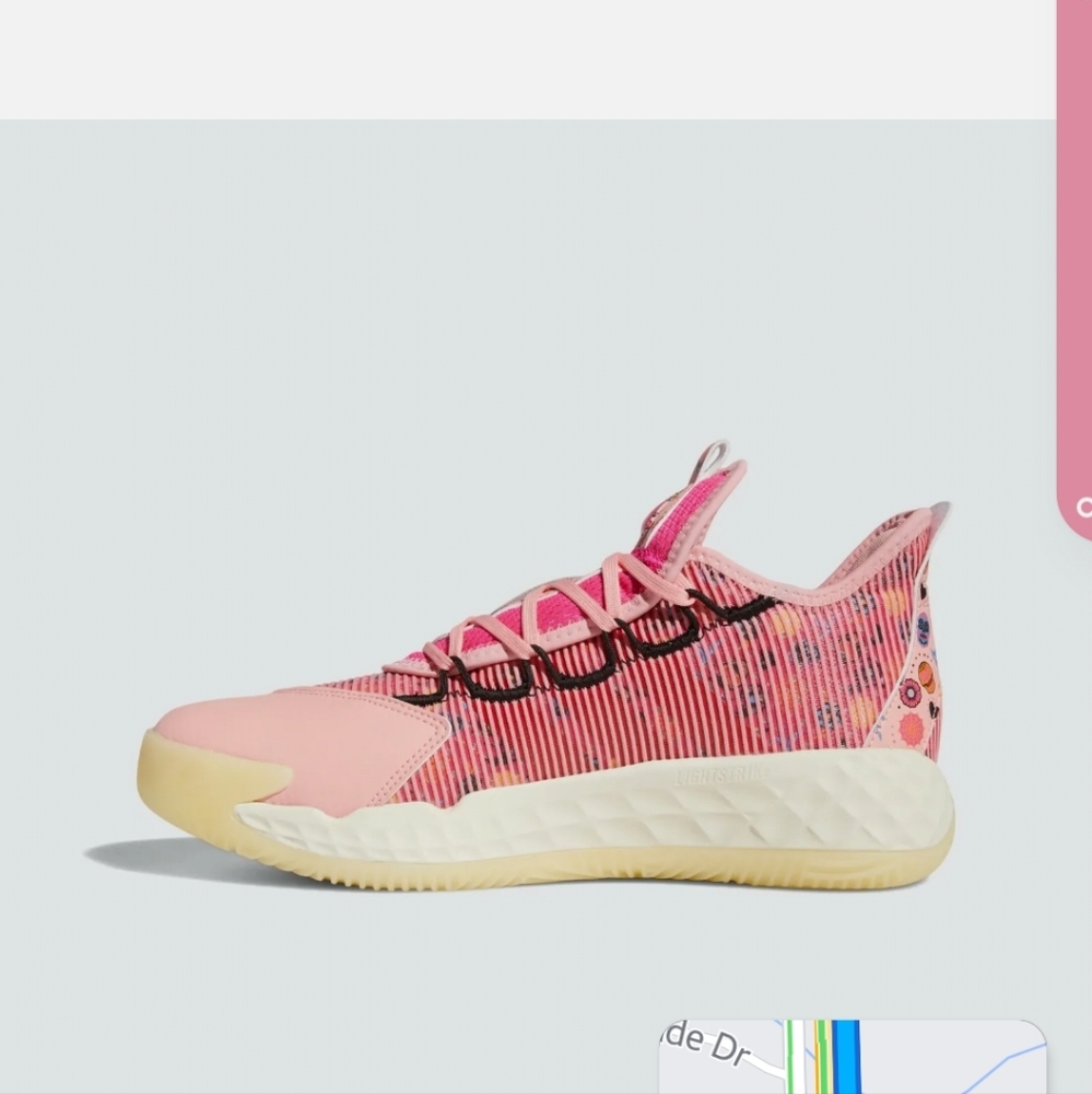 Adidas Pro Boost Day of the Dead (Limited Edition)